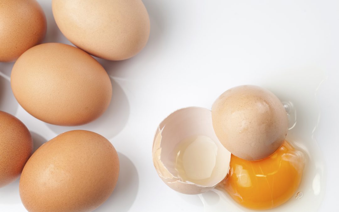 Do Eggs Cause Heart Disease? UNC Nutrition Research Institute